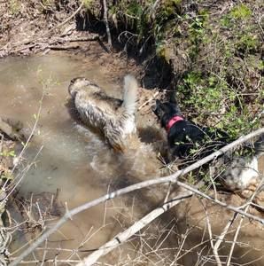 Meet your Posher, Nathan